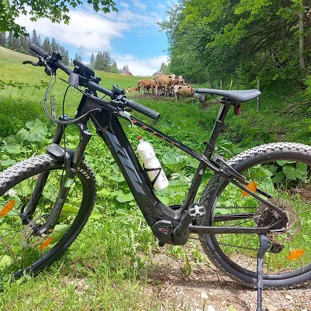 Daire Auszeit Steiraland Penthouse 9 Mit Grossen Balkon Und Parkplatz *