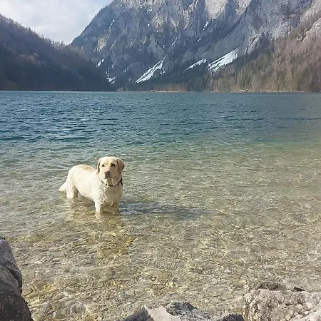 Daire Auszeit Steiraland Penthouse 9 Mit Grossen Balkon Und Parkplatz