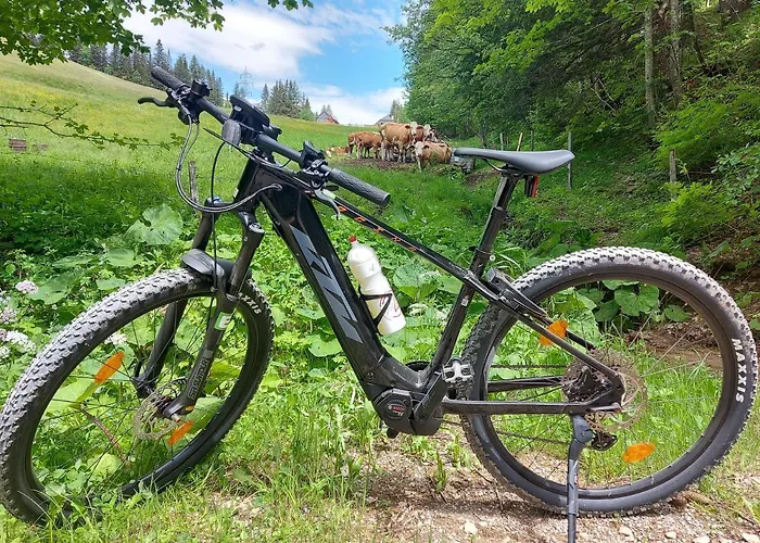 Appartamento Auszeit Steiraland Penthouse 9 Mit Grossen Balkon Und Parkplatz *