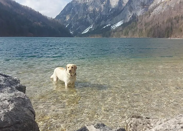 Appartamento Auszeit Steiraland Penthouse 9 Mit Grossen Balkon Und Parkplatz